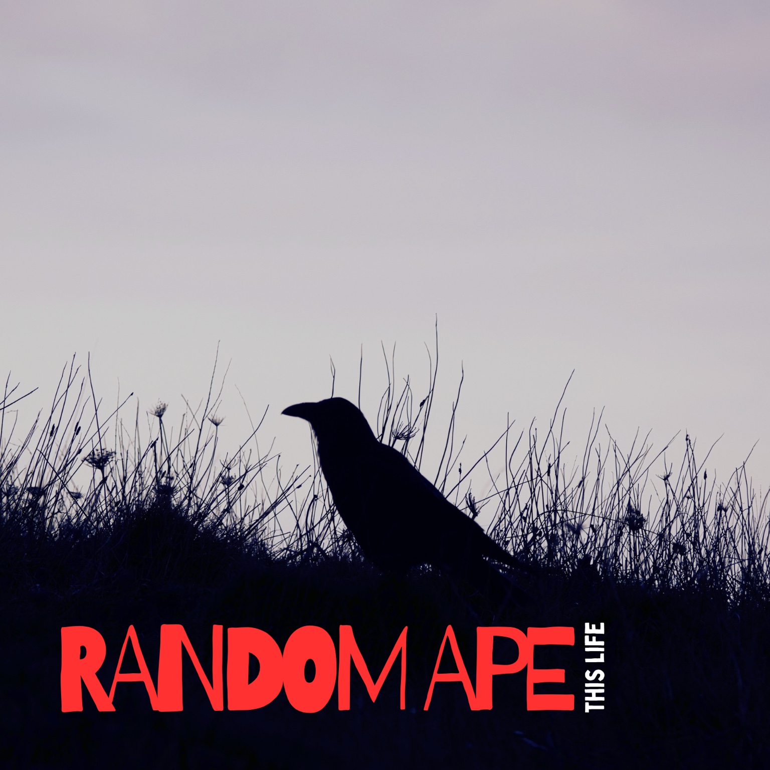 This Life artwork
